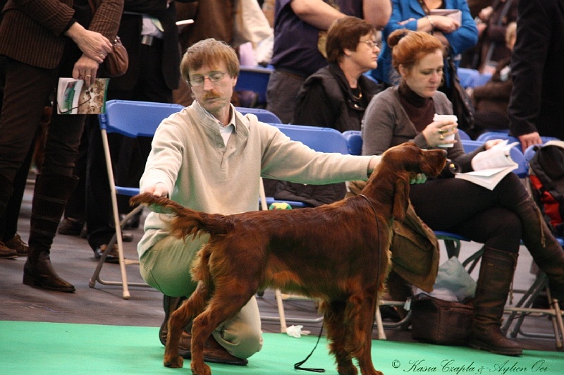 Crufts2011 135.jpg